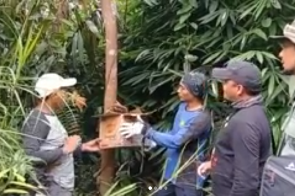 Pelepasliaran Satwa Kukang dari Masyarakat Air Hitam laut