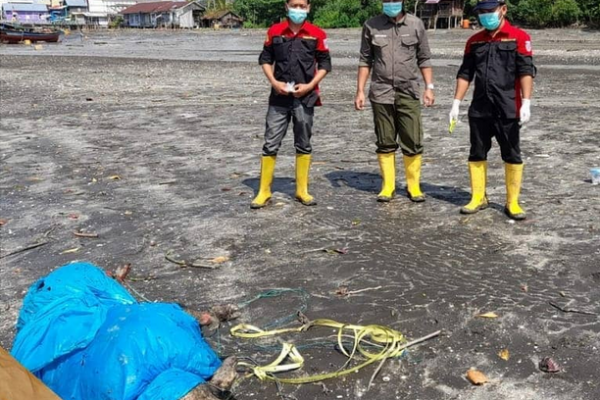 Pengambilan Sampel pada Bangkai Babi Hutan yang Diduga Mati Akibat Virus ASF (African Swine Fever)